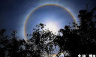 日晕代表什么预兆