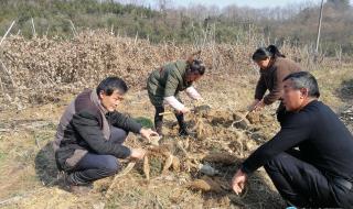 如何处理滞销宝贝